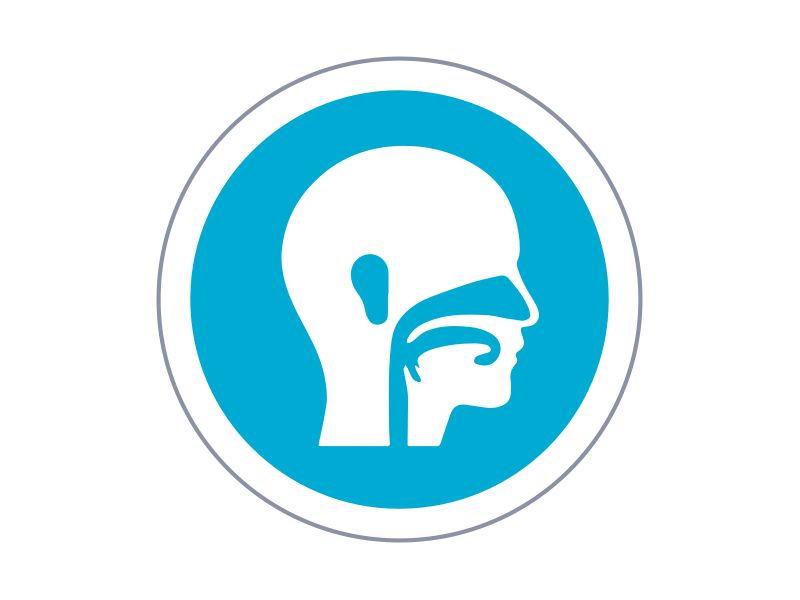 Otorhinolaryngology